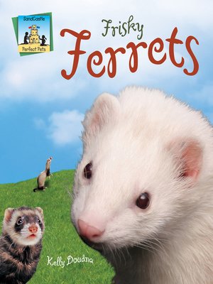cover image of Frisky Ferrets